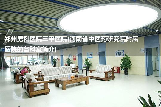 郑州男科医院三甲医院(河南省中医药研究院附属医院的各科室简介)