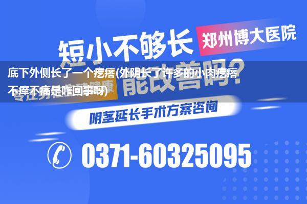 底下外侧长了一个疙瘩(外阴长了许多的小肉疙瘩不痒不痛是咋回事呀)