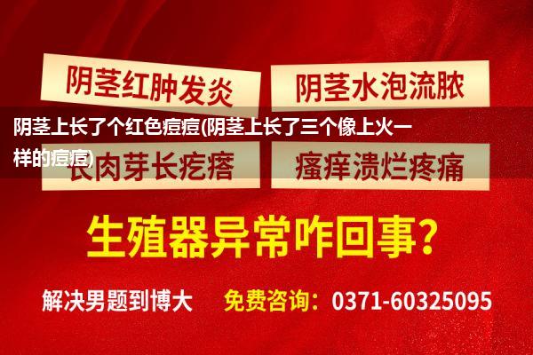 阴茎上长了个红色痘痘(阴茎上长了三个像上火一样的痘痘)