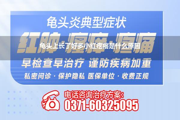 龟头上长了好多小红疙瘩是什么原因