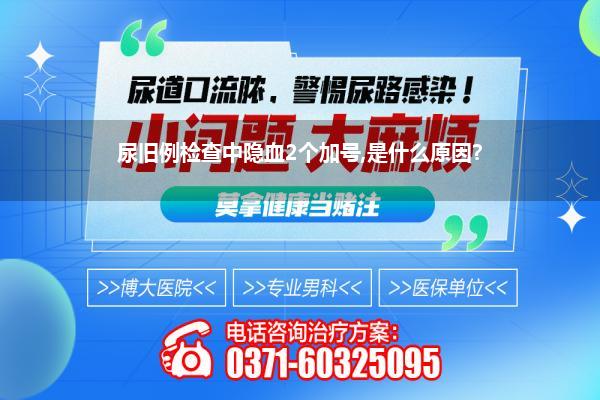 尿旧例检查中隐血2个加号,是什么原因?